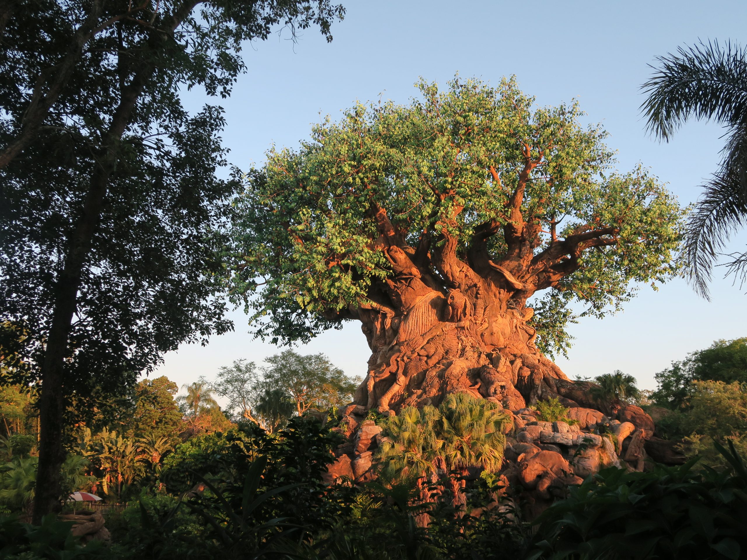 The Real Story Behind Joe Rohde'S Disney Departure And Compensation - 0nl2lu9
